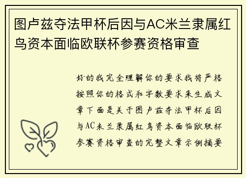 图卢兹夺法甲杯后因与AC米兰隶属红鸟资本面临欧联杯参赛资格审查 图卢兹夺法甲杯后因与AC米兰隶属红鸟资本面临欧联杯参赛资格审查